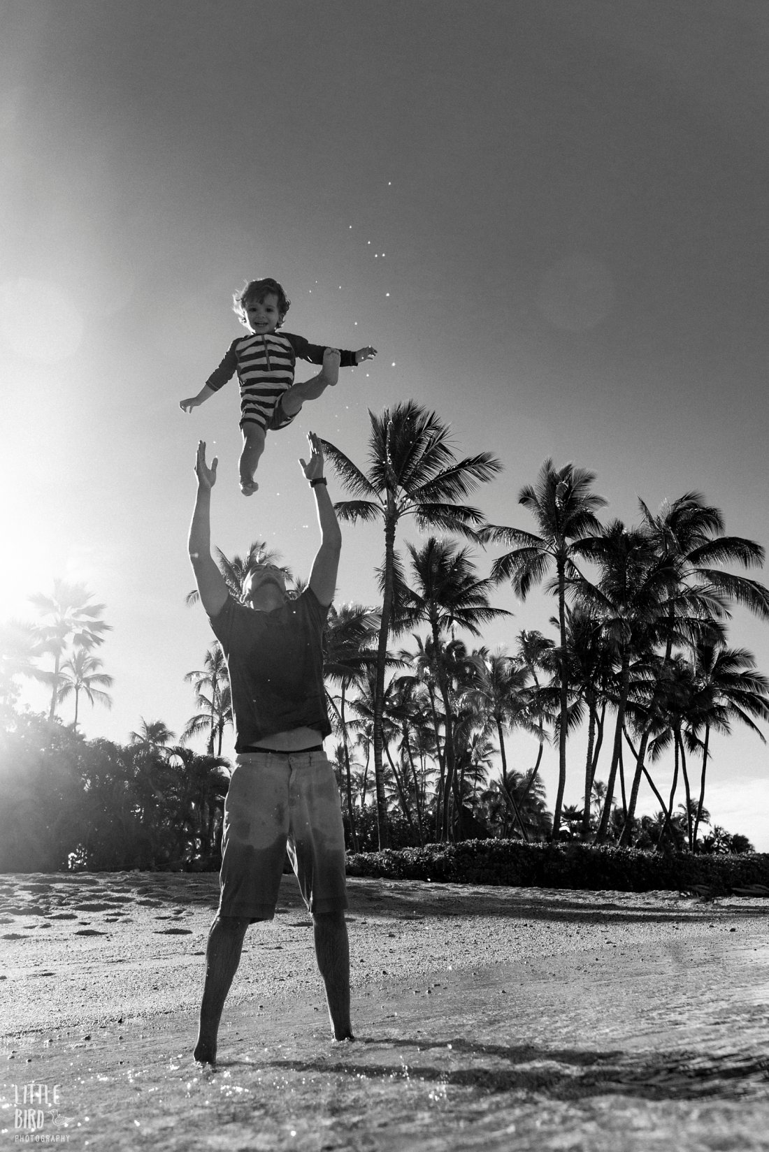 dad throwing son in the air during family photoshoot in hawaii