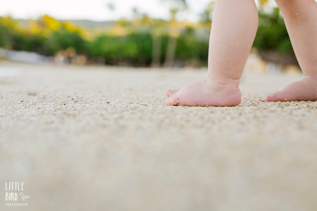 closeup of baby feet walking on the beach in hawaii