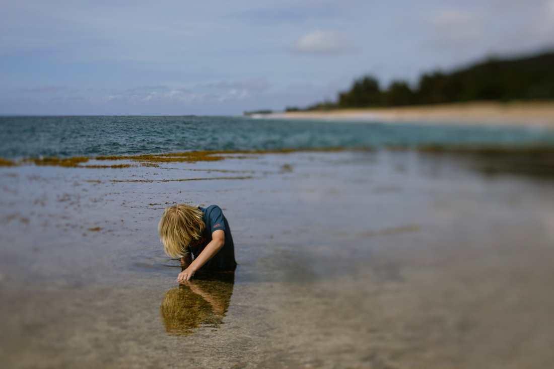 best tide pools for kids on oahu