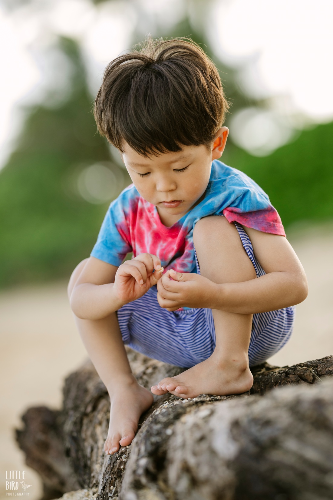 boy looking a shells on a beach in hawaii