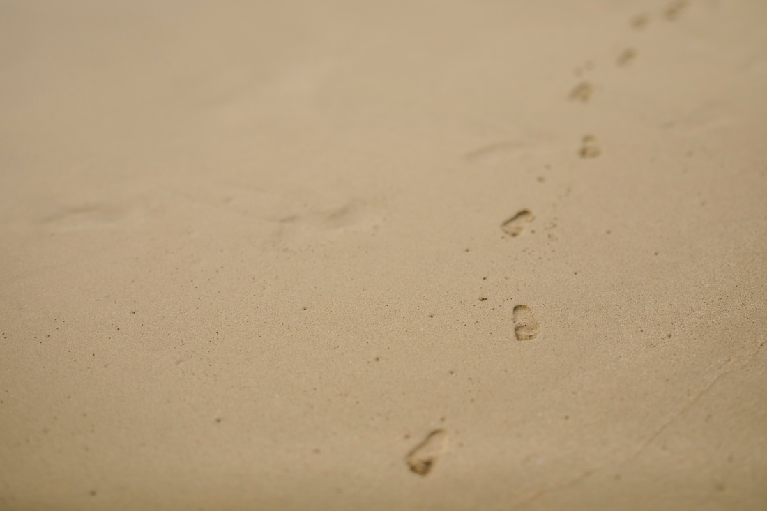 footprints in the sand in hawaii