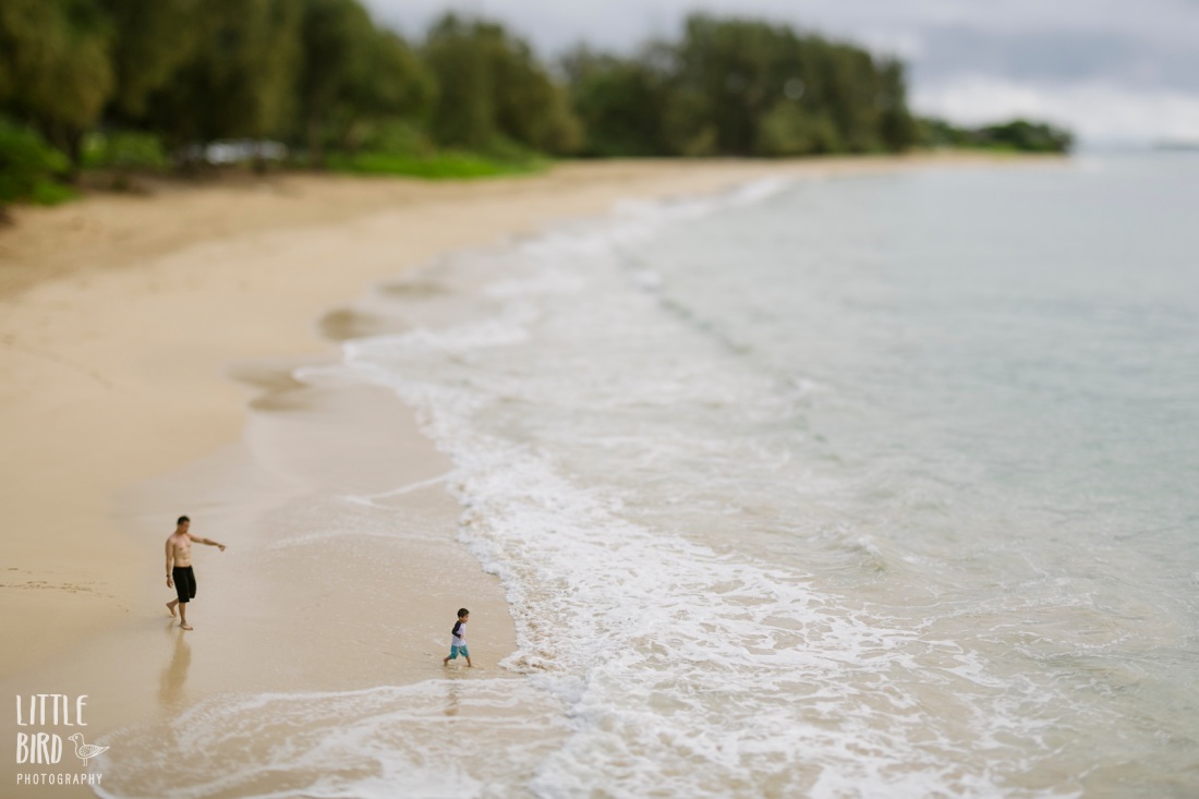 aerial view of dad and son playing in the surf at Laie beach park oahu