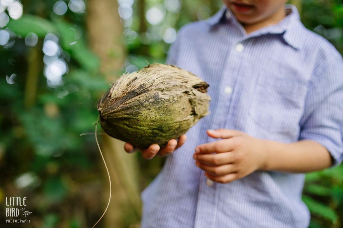 boy holding a coconut in hawaii
