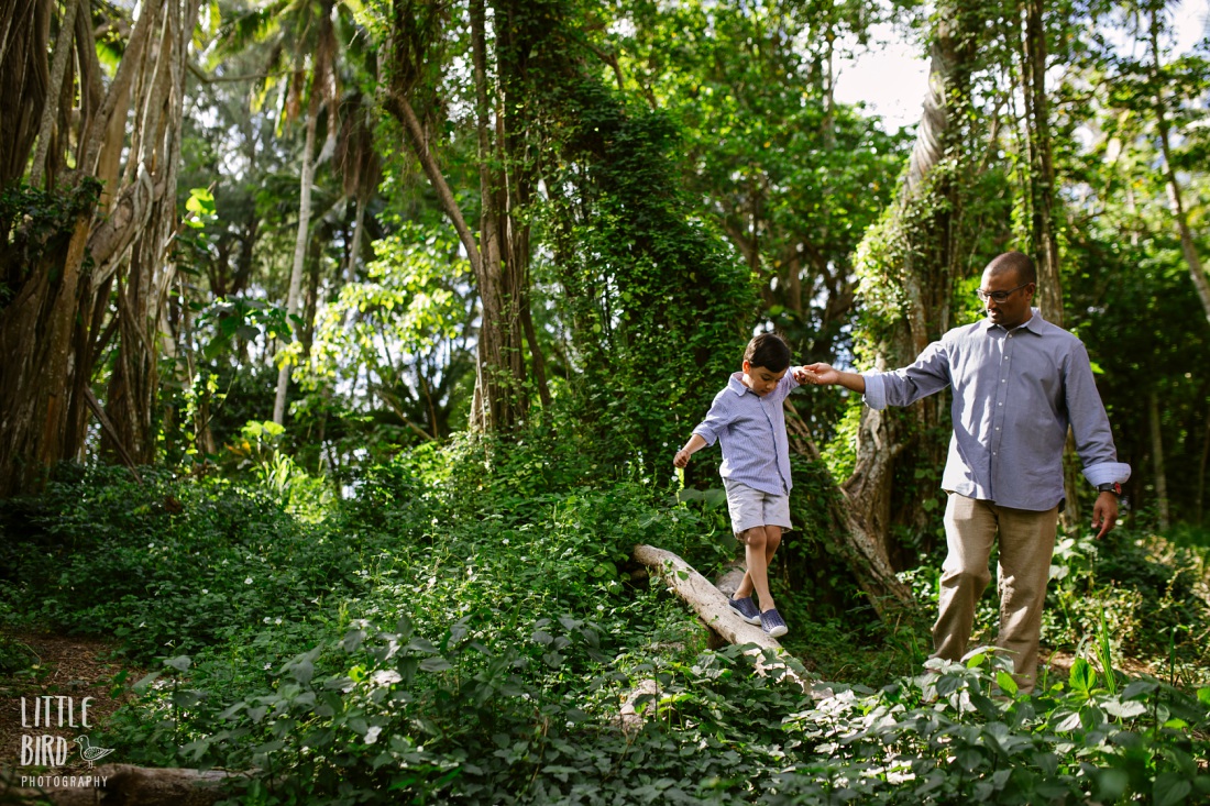 dad helping son walk along a log in the dense jungle portrait by little bird photography
