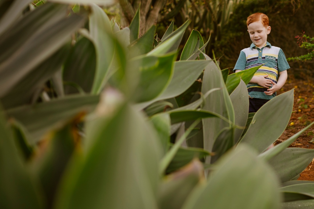 boy examining a sharp agave plant at koko head botanical garden