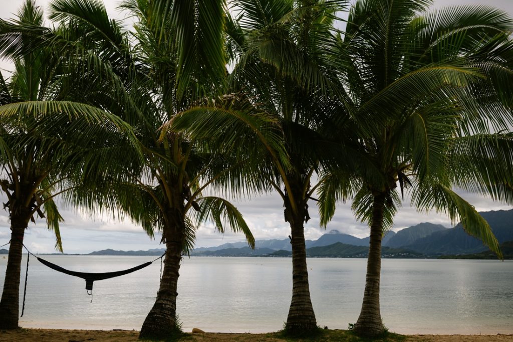 hammock hanging under palms at secret island oahu