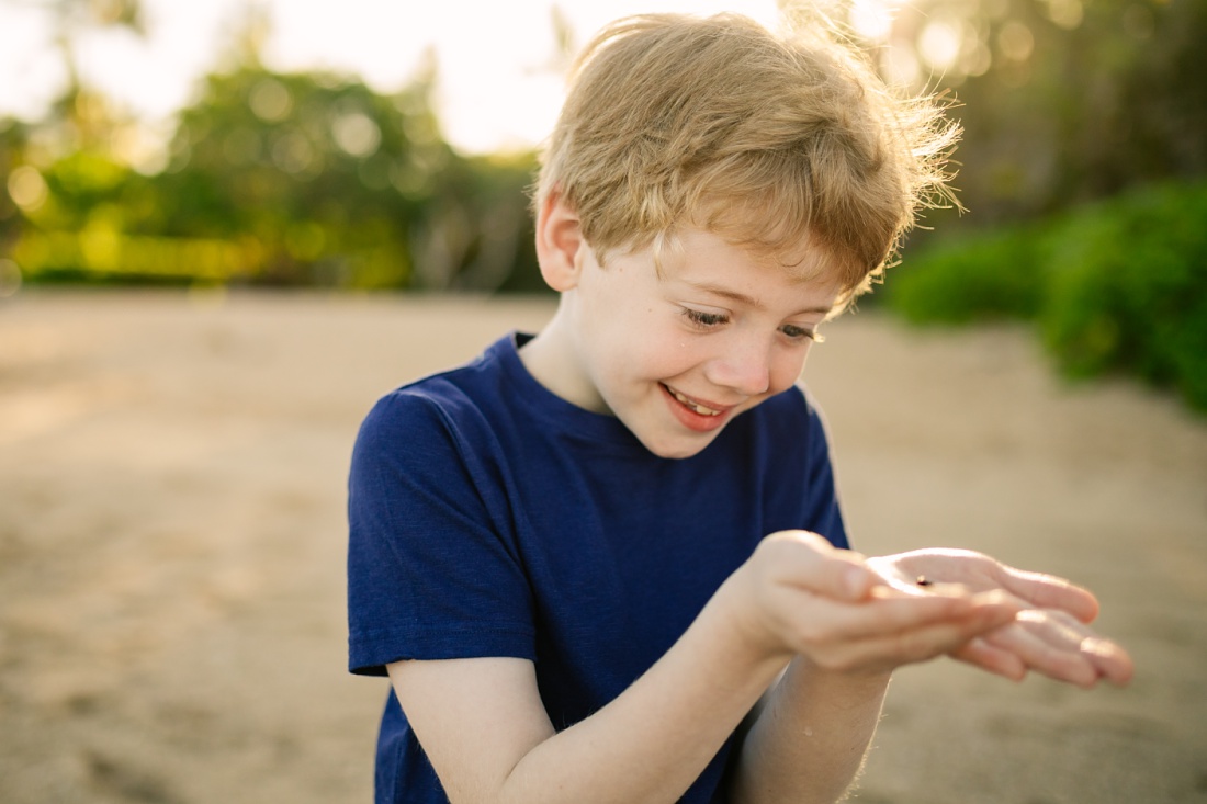 boy with a hermit crab in hawaii