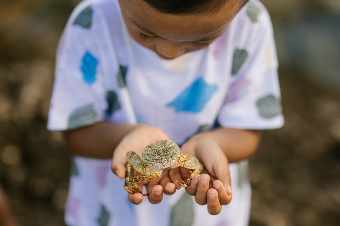 boy holding a crab during a photoshoot in hawaii