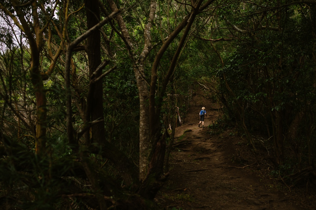 boy hiking through dense forest on the kuliouou ridge trail in hawaii kai, oahu