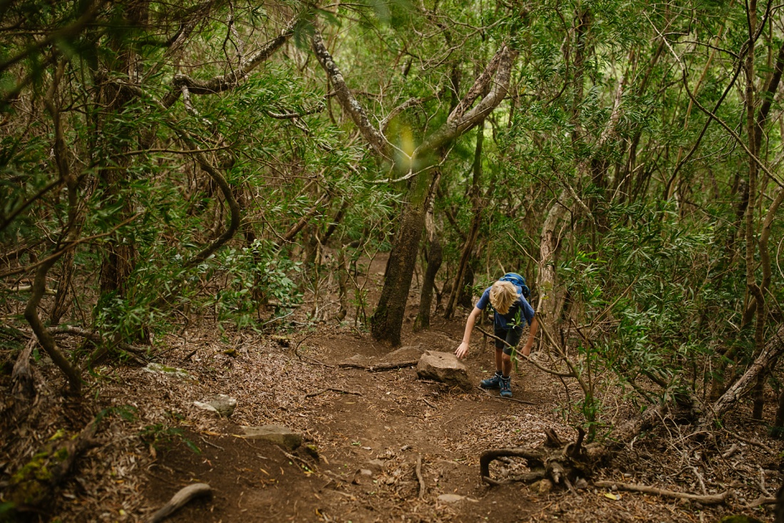 hiking a steep slope on the kuliouou ridge trail in oahu