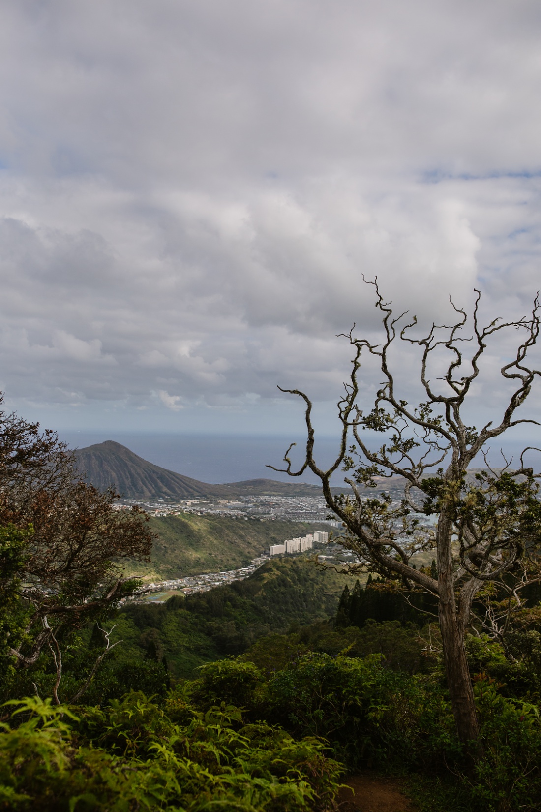 views of koko head and hawaii kai from the kuliouou ridge hike