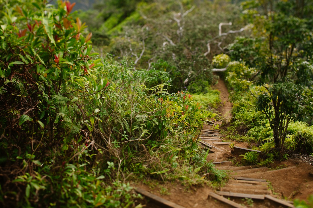 stairs near the top of the kuliouou trail hike