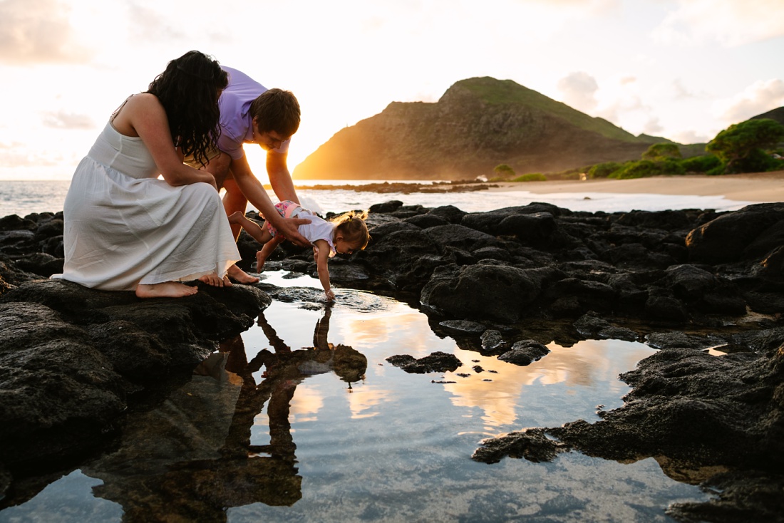 family explores tide pools in oahu during a family photo session by little bird photography