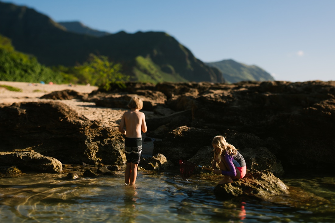 siblings exploring tide pools at makua beach hawaii