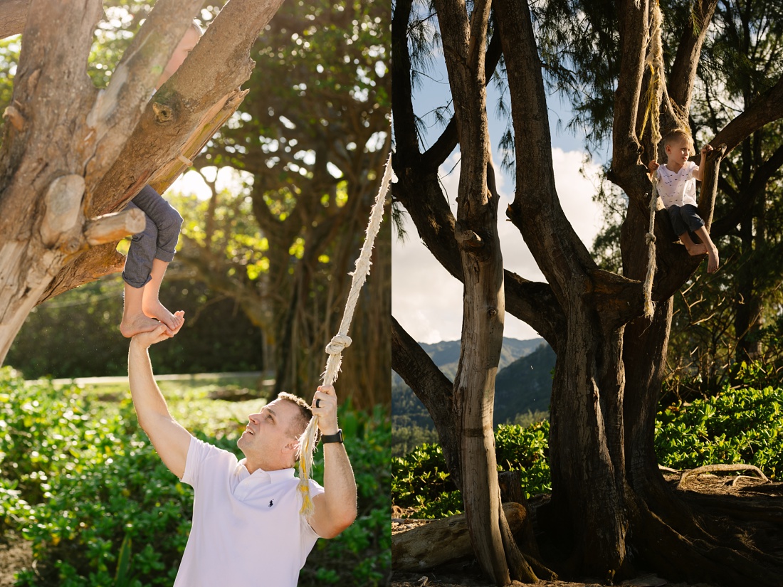 boy climbing a tree with a rope swing in hawaii