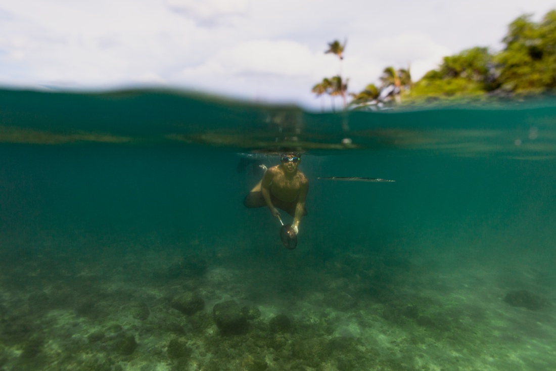 underwater portrait of a boy with a net and needlefish at koolinas paradise cove 