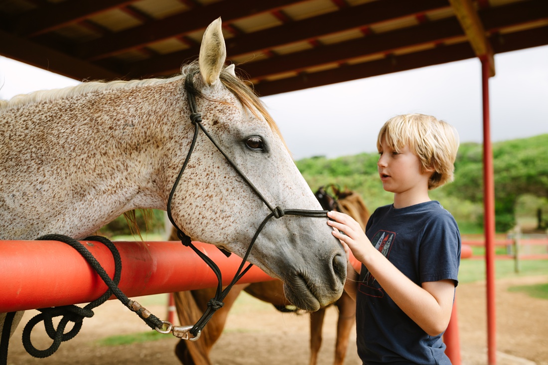 boy petting a horse before horseback riding lesson at gunstock ranch