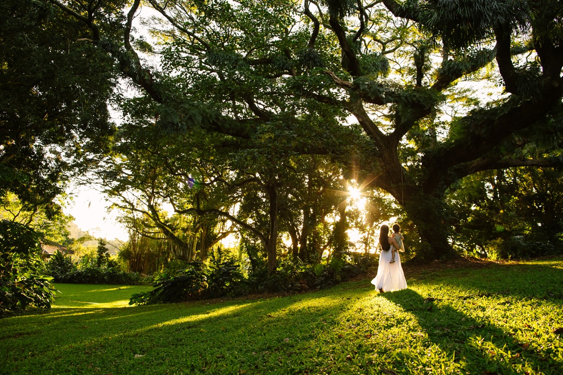 beautiful maternity portrait under a canopy of trees near sunset in oahu