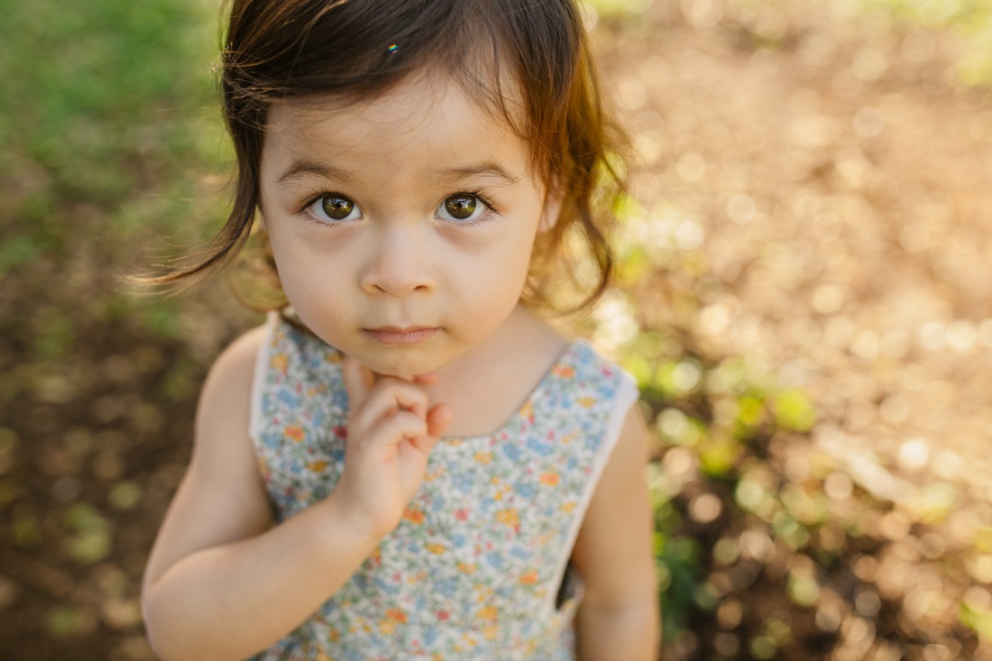 closeup portrait of a sweet toddler girl during a family photo session in hawaii
