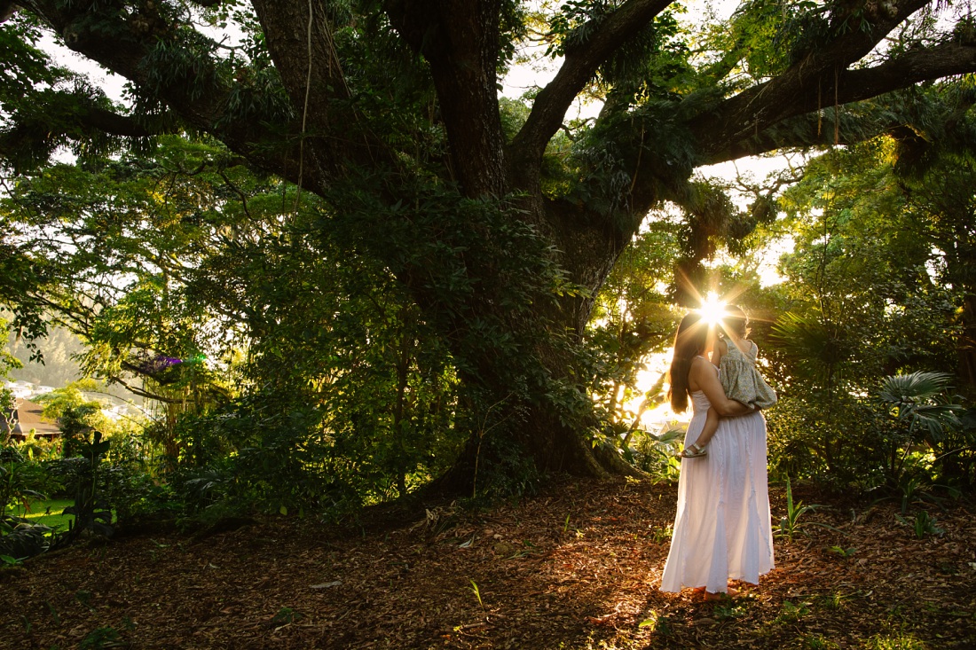 starburst through the trees at sunset during a family maternity photography shoot in nuuanu oahu 