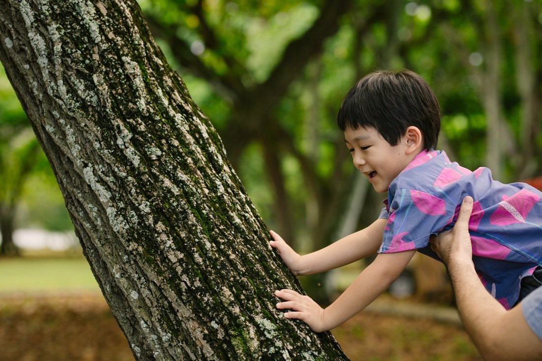 dad helps toddler son climb a tree during a fun family photoshoot in oahu
