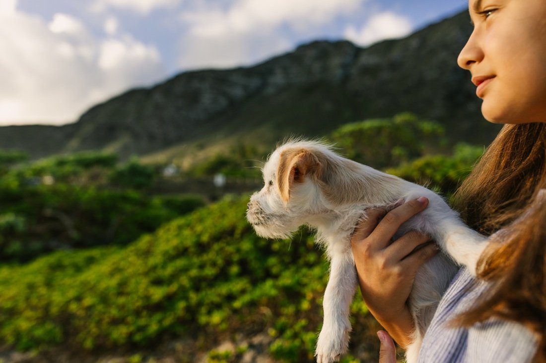 girl and her terrier puppy against the mountains in hawaii