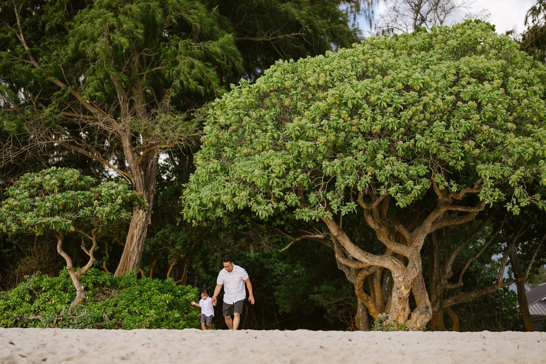 dad and son walking on the beach with big trees behind