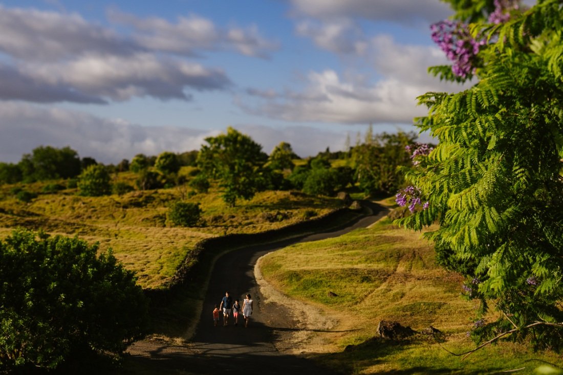 a family walks along a winding road in kula maui during a family photoshoot