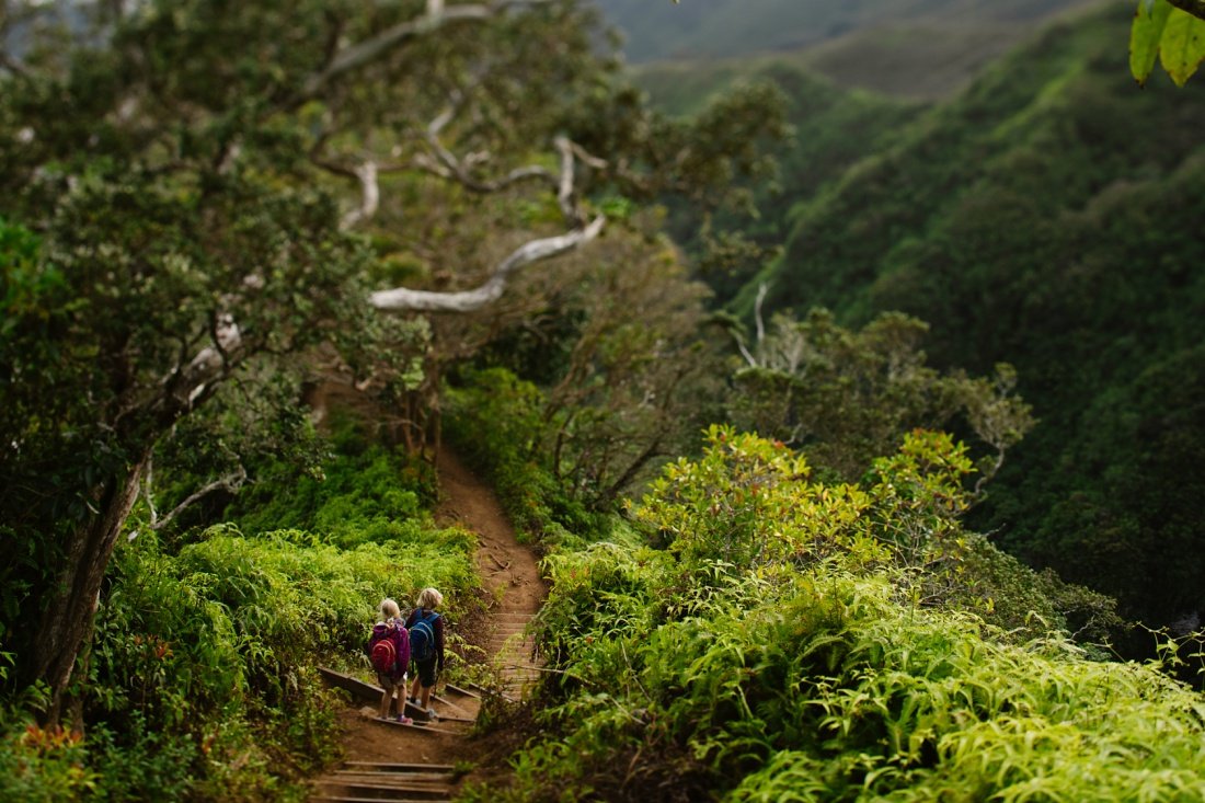 dramatic view of kids hiking from the koolau summit on kuliouou trail in oahu hawaii