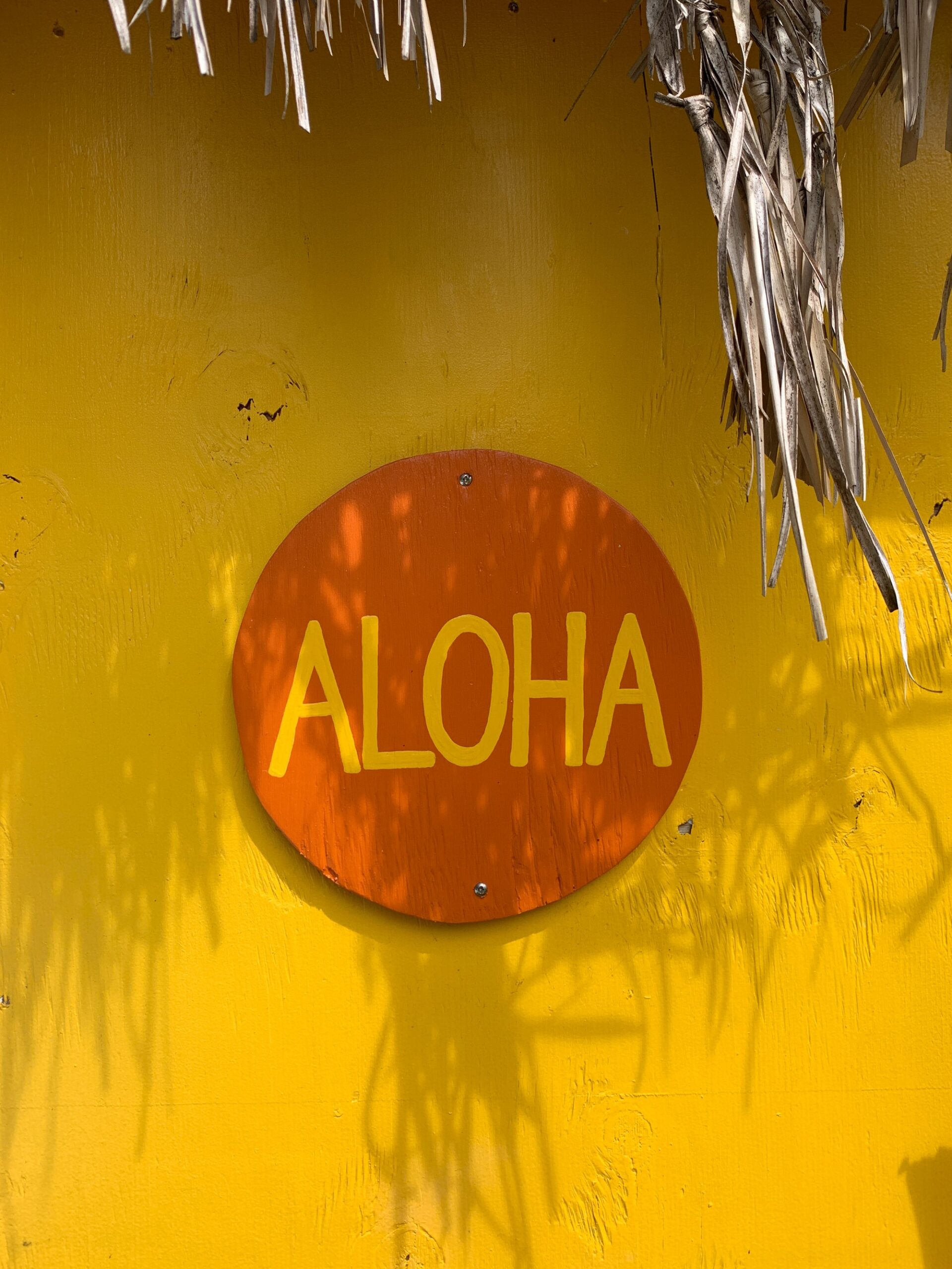 colorful aloha sign