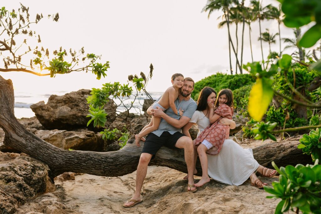 family snuggles on a tree at sunset on Oahu's north shore