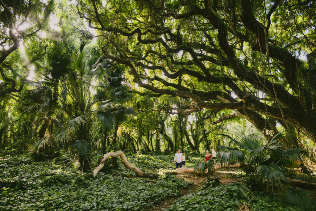 maui family photos deep in the rainforest at honolua