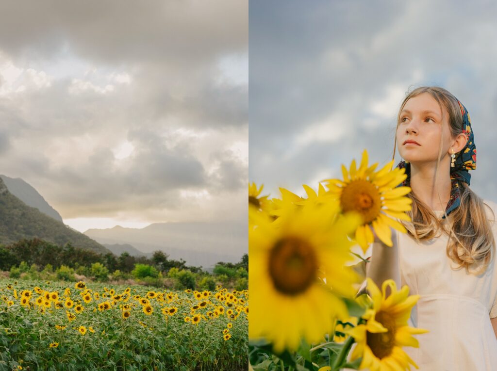 senior photos in waimanalo sunflower field