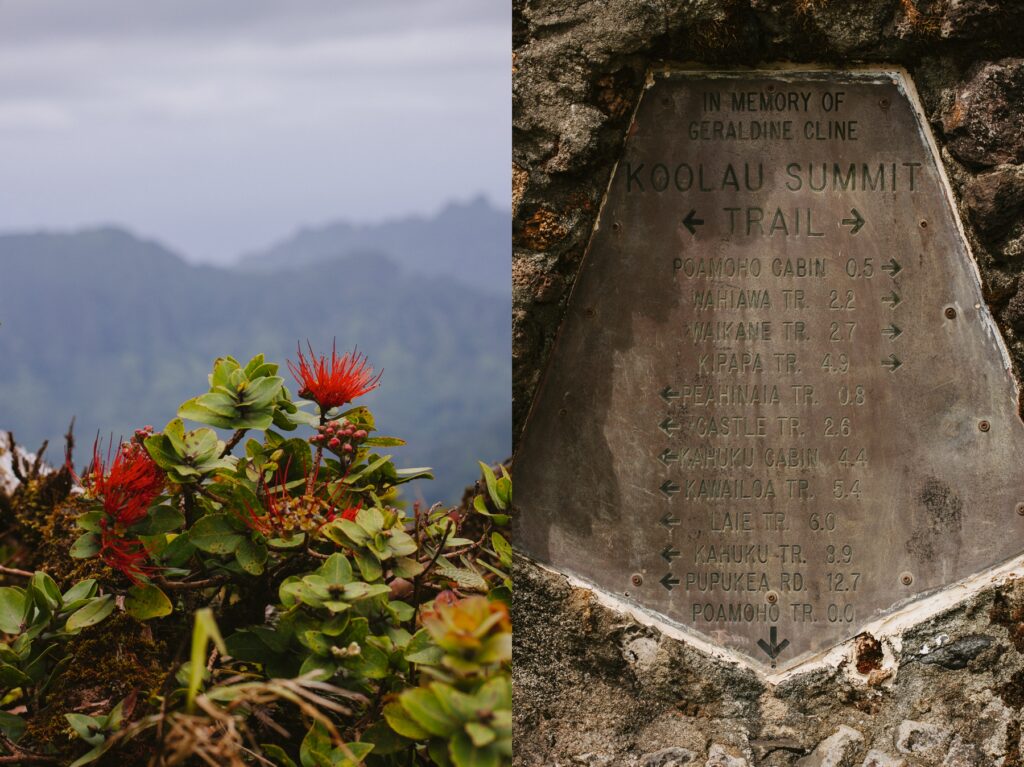 summit of poamoho trail